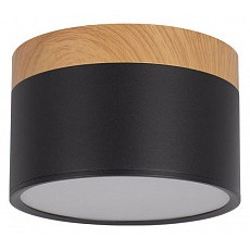 Накладной светильник loft it grape 10162 black